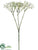 Gypsophlia Spray - White - Pack of 12