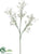 Gypsophlia Spray - White - Pack of 12