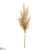 Pampas Grass Spray - Beige - Pack of 12