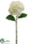 Hydrangea Spray - White - Pack of 12