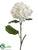 Hydrangea Spray - Cream - Pack of 12