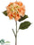 Hydrangea Spray - Peach - Pack of 12