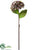 Hydrangea Spray - Brown Gray - Pack of 12