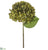 Hydrangea Spray - Green - Pack of 12