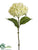 Hydrangea Spray - Cream - Pack of 12