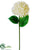 Hydrangea Spray - Cream - Pack of 12