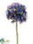 Hydrangea Spray - Helio Delphinium - Pack of 12