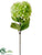 Hydrangea Spray - Green Light - Pack of 12