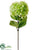 Hydrangea Spray – Green Light - Pack of 12