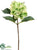 Hydrangea Spray - Green Two Tone - Pack of 12