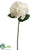 Hydrangea Spray - White - Pack of 12