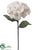 Hydrangea Spray - Ivory - Pack of 12