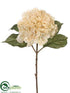 Silk Plants Direct Hydrangea Spray - Beige - Pack of 12