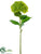 Hydrangea Spray - Lime - Pack of 6