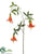 Honeysuckle Spray - Orange - Pack of 6