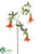 Honeysuckle Spray - Orange - Pack of 6