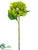 Hydrangea Spray - Green - Pack of 12