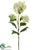 Hydrangea Spray - Cream Green - Pack of 6