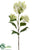 Hydrangea Spray - Cream Green - Pack of 6