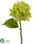 Hydrangea Spray - Green - Pack of 12