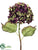 Hydrangea Spray - Burgundy Green - Pack of 12