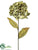 Hydrangea Spray - Avocado Green - Pack of 12