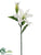 Lily Spray - White - Pack of 12