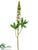 Lupinus Spray - Cream Green - Pack of 12