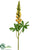 Lupinus Spray - Yellow Green - Pack of 12