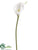 Mini Calla Lily Spray - White - Pack of 12