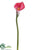 Calla Lily Spray - Fuchsia - Pack of 12