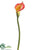 Calla Lily Spray - Orange - Pack of 12