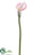 Calla Lily Spray - Pink - Pack of 12