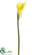 Calla Lily Spray - Yellow - Pack of 12