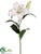 Casablanca Lily Spray - White - Pack of 12