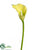 Calla Lily Spray - Green - Pack of 12