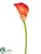 Calla Lily Spray - Orange - Pack of 12