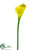 Calla Lily Spray - Green - Pack of 12