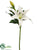 Lily Spray - White - Pack of 12