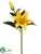 Lily Spray - Yellow - Pack of 12