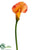 Calla Lily Spray - Orange Two Tone - Pack of 12