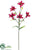 Tiger Lily Spray - Red Burgundy - Pack of 12