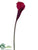 Calla Lily Spray - Burgundy - Pack of 12