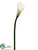 Calla Lily Spray - White - Pack of 12