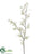 Peruvian Lily Spray - Cream - Pack of 12