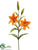 Day Lily Spray - Orange - Pack of 12