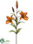 Tiger Lily Spray - Mustard - Pack of 12