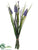 Muscari Bundle - Purple - Pack of 12