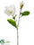 Silk Plants Direct Magnolia Spray - White - Pack of 12