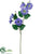 Morning Glory Spray - Helio - Pack of 12